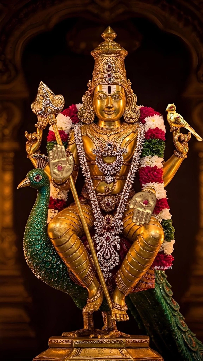 dp murugan photo