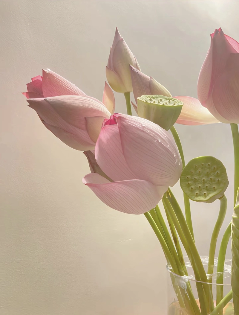 flower images for whatsapp dp