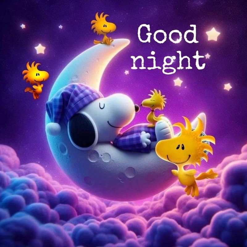 good night dp love