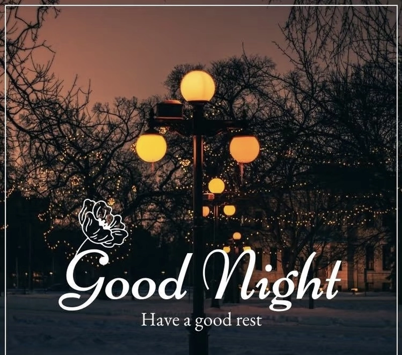 good night dp new