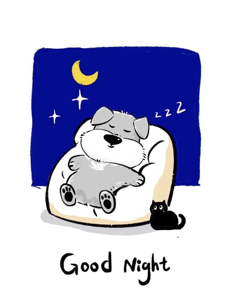 good night dp pic