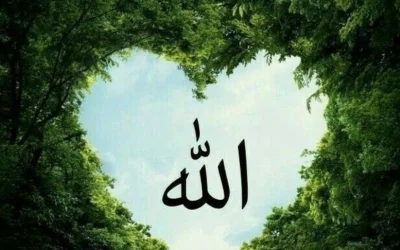 instagram allah names dp
