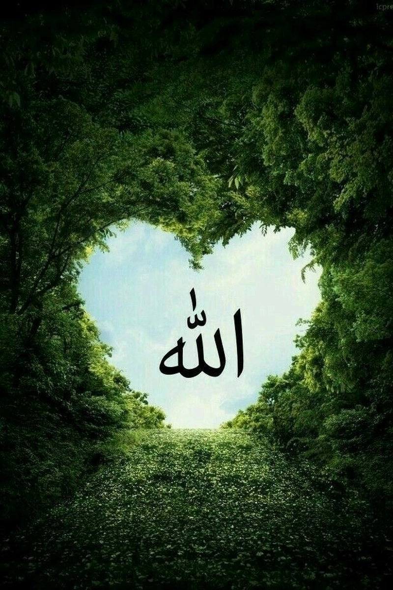 instagram allah names dp