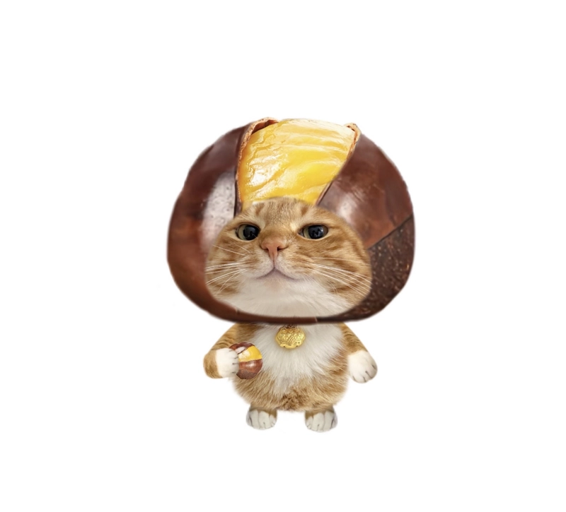 kitten discord pfp