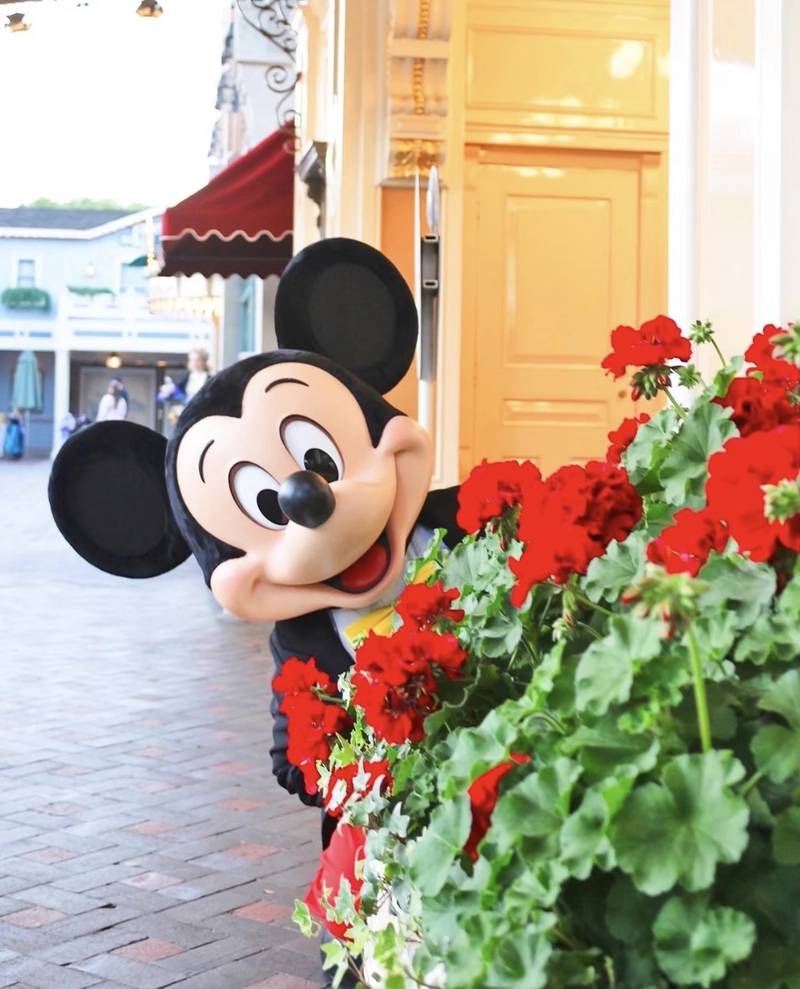mickey mouse profile hd pic