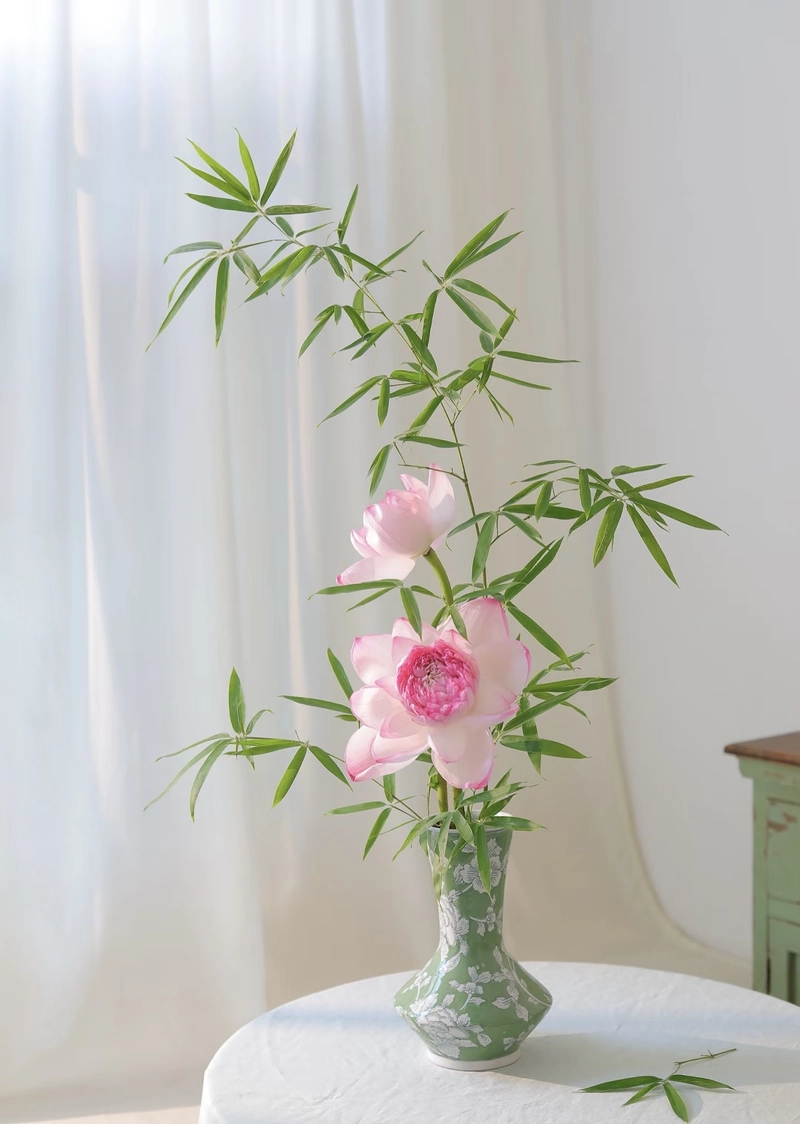 most beautiful flowers images for dp free download