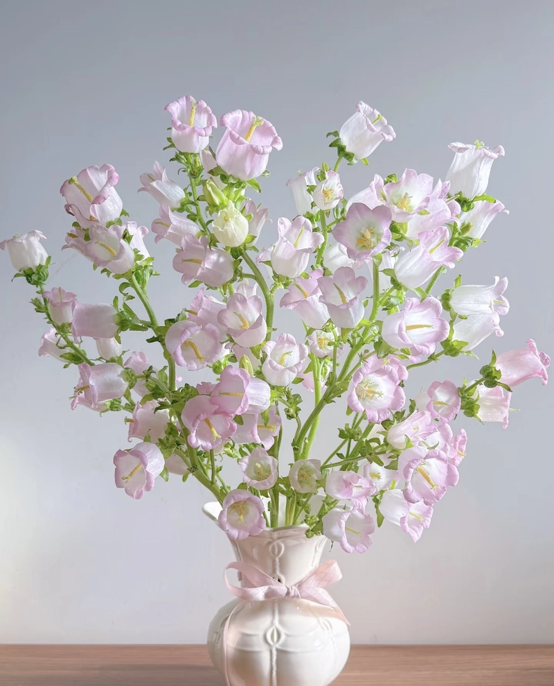 natural beautiful flowers images for dp for whatsapp