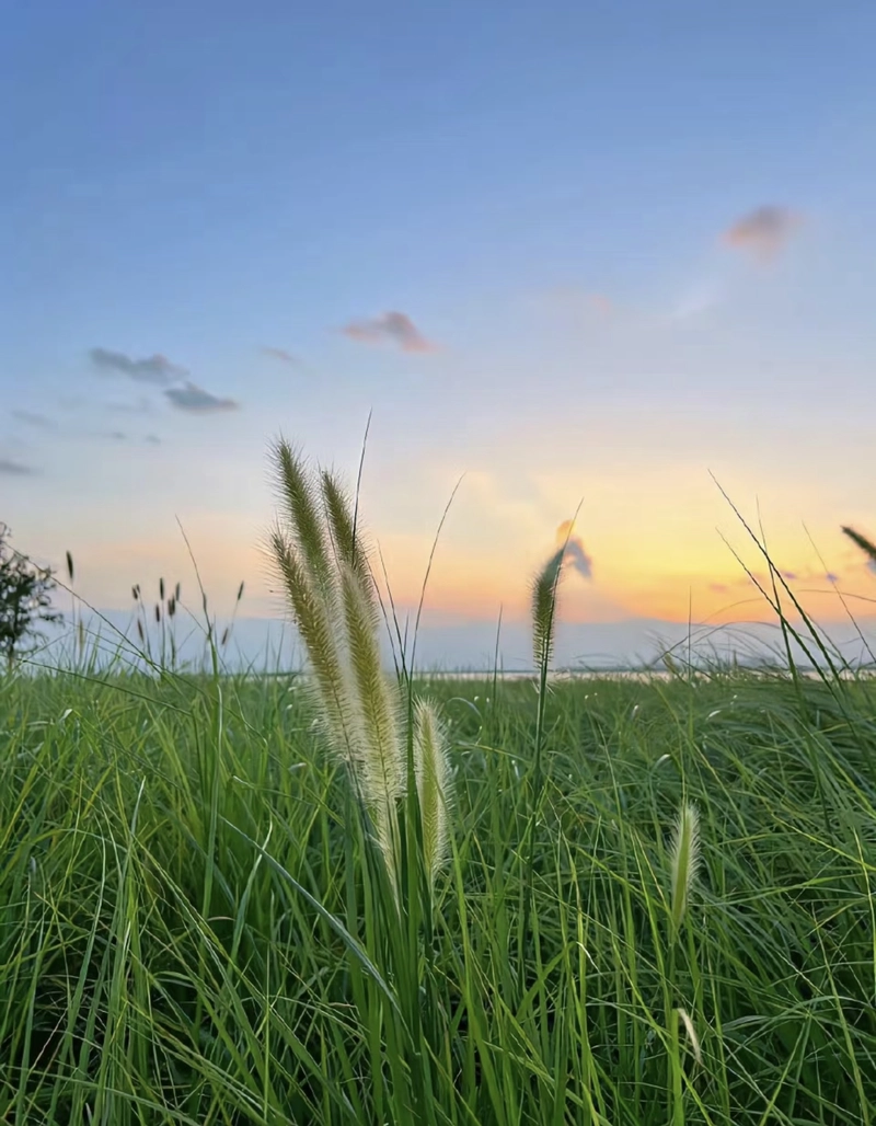 nature hd images for whatsapp dp