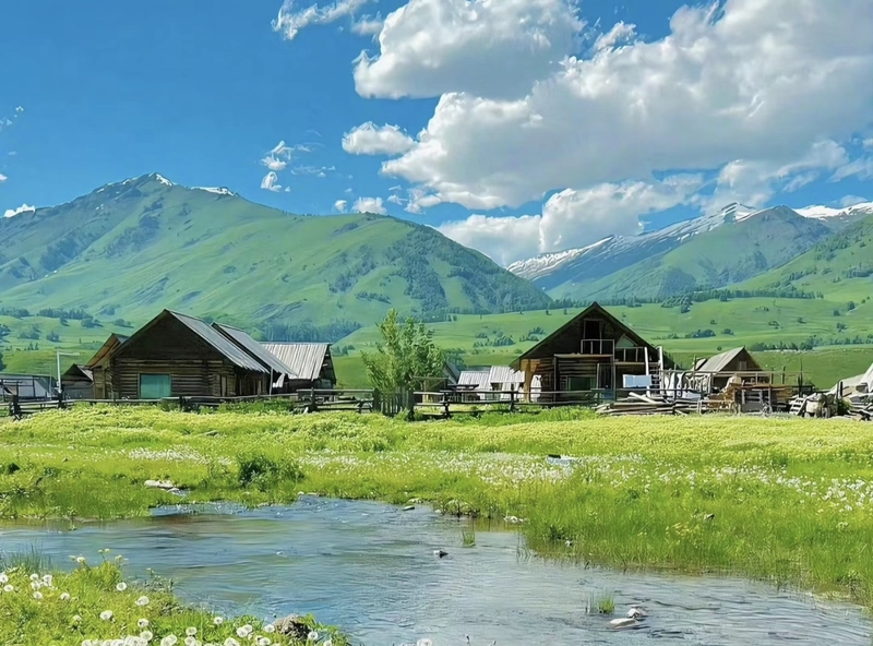 nature images for whatsapp dp download