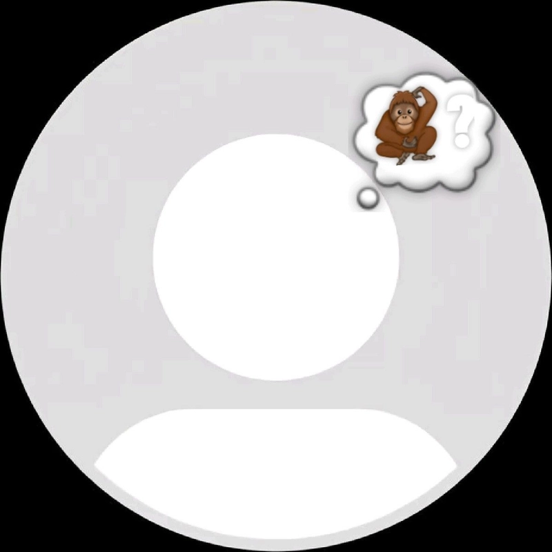 no dp logo image