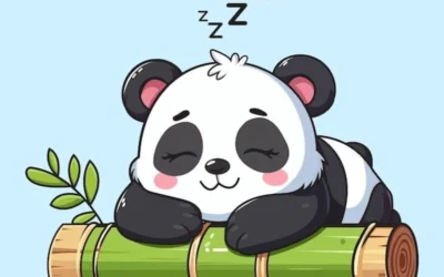 panda whatsapp dp