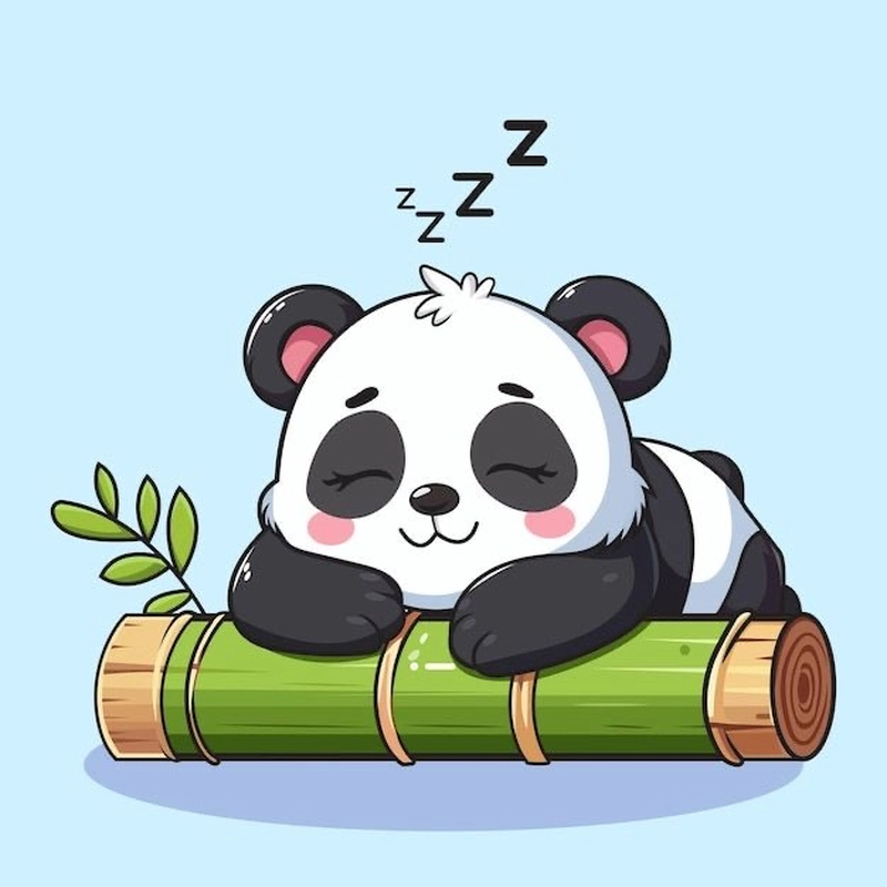 panda whatsapp dp