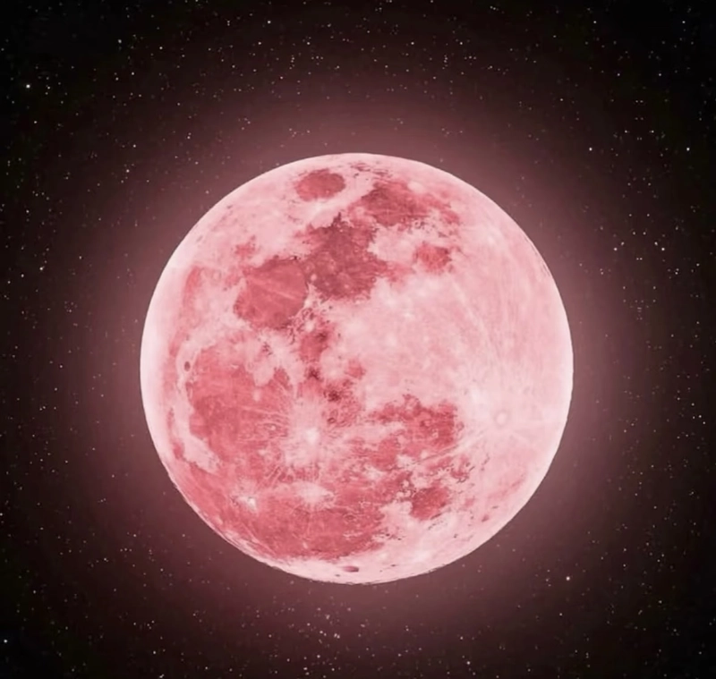 pink dp for pic