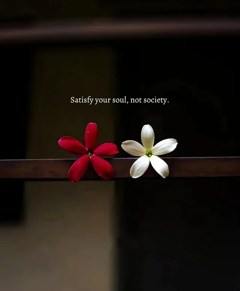 positive dp quotes pic