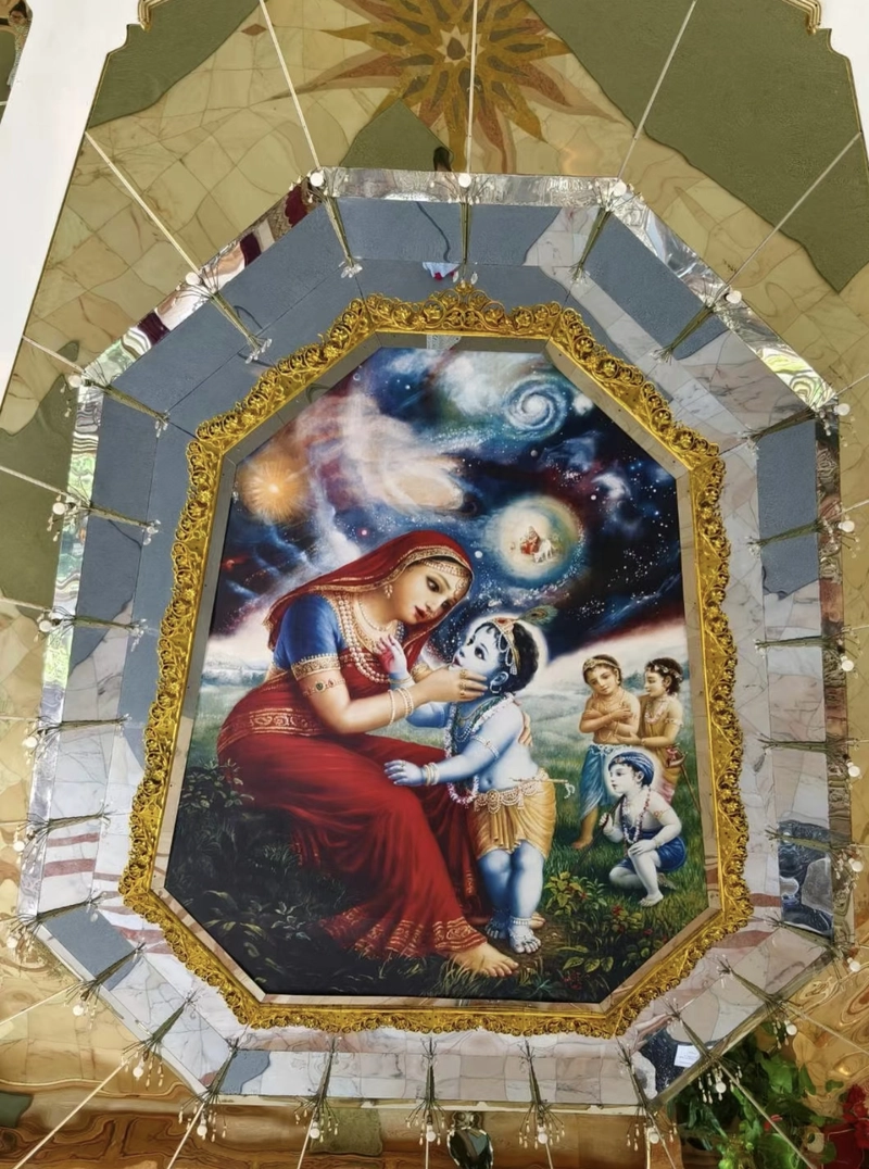 radha krishna holi dp