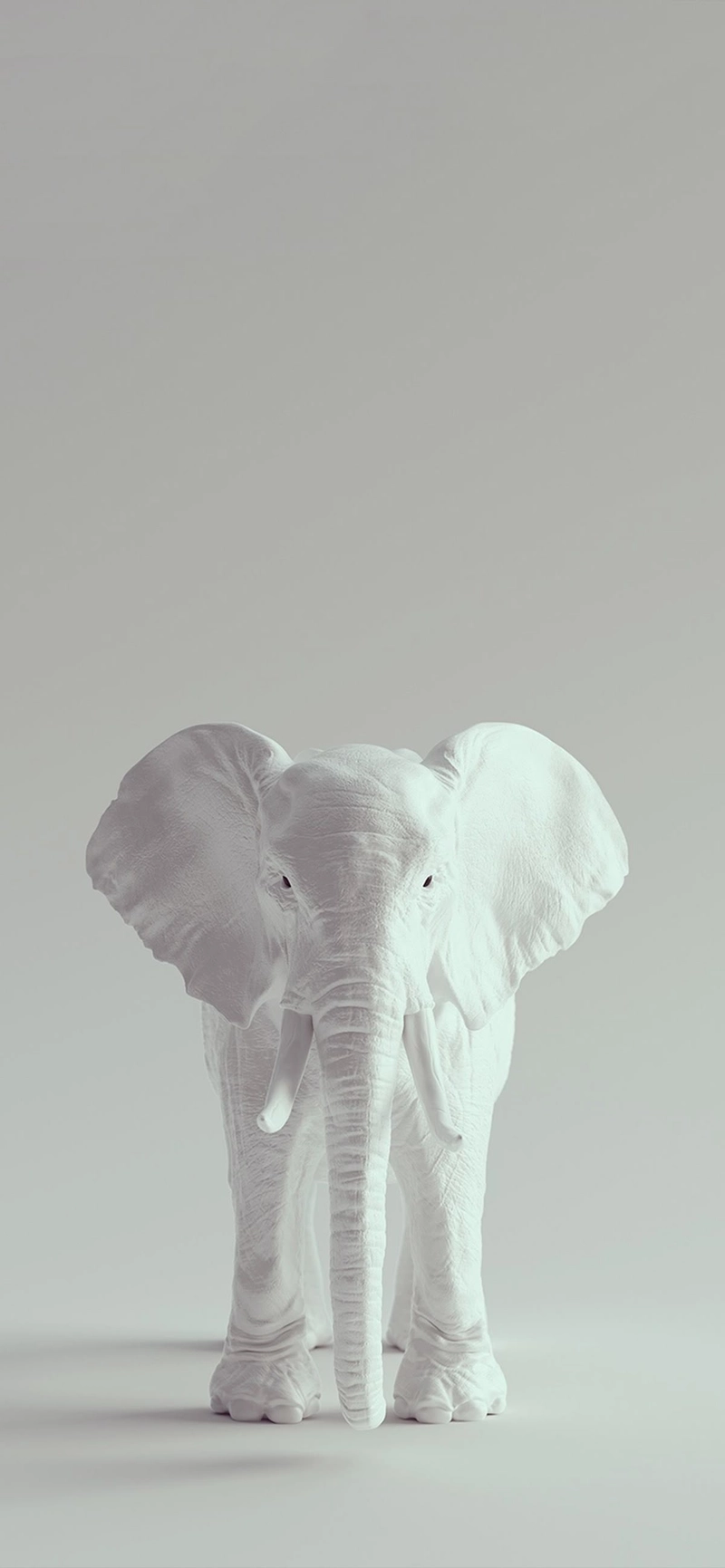 real white elephant images