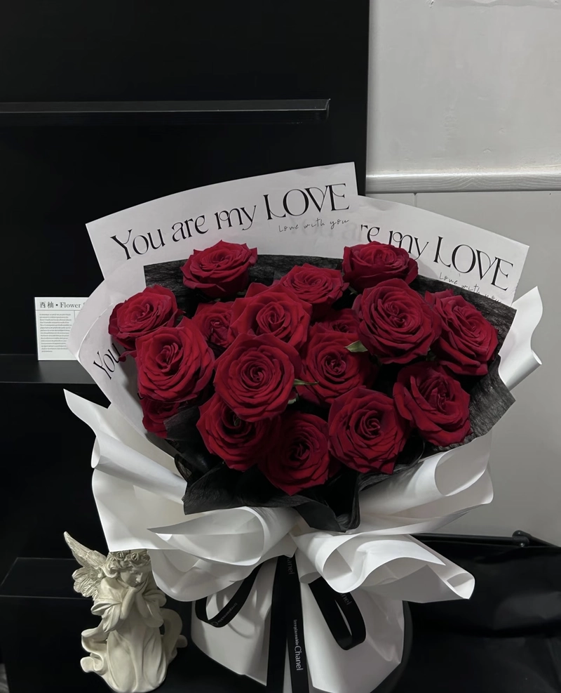 red rose dp for whatsapp