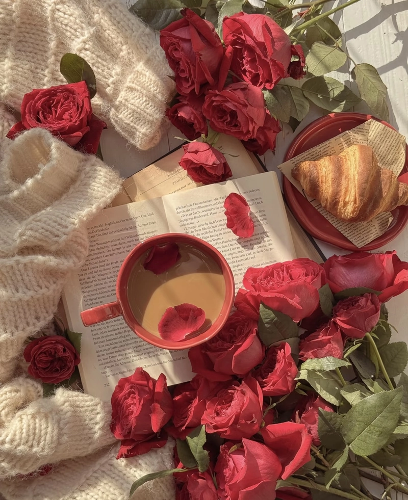 red rose love dp