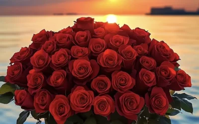 red roses pics for dp
