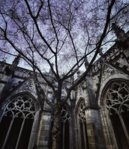 romantic aesthetic pictures