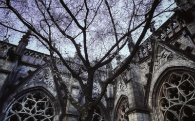 romantic aesthetic pictures