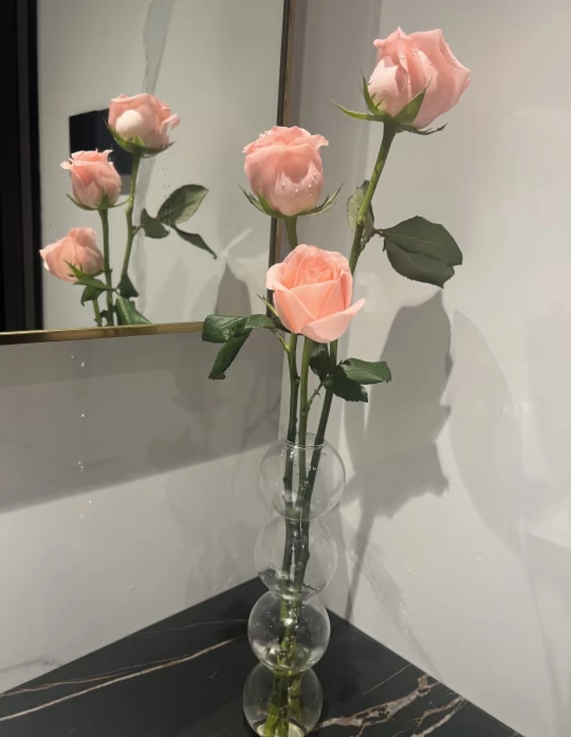rose flower dp for whatsapp