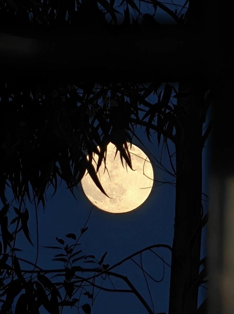 sad moon dp instagram