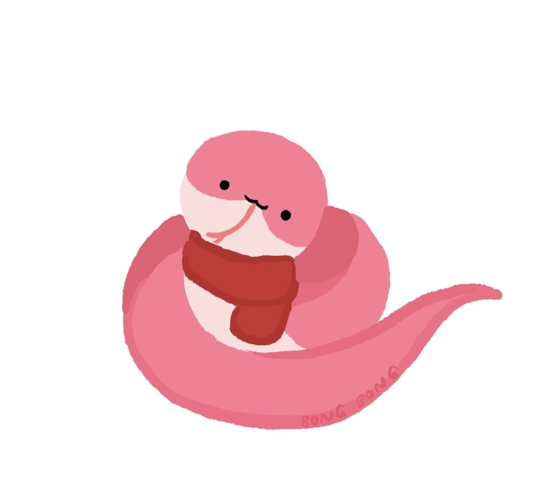 snake dpz