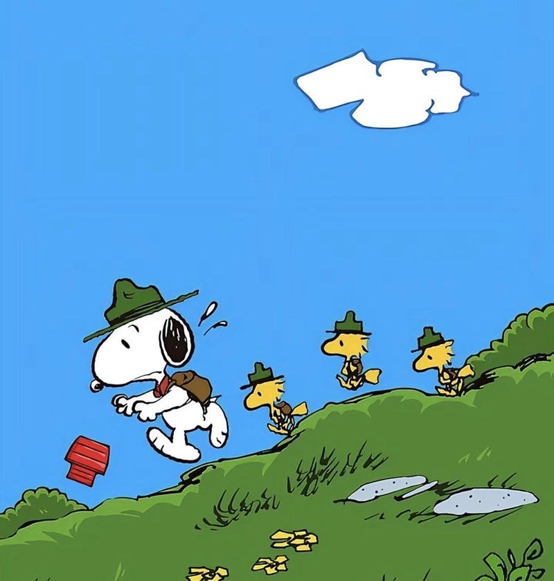 snoopy pfp aesthetic