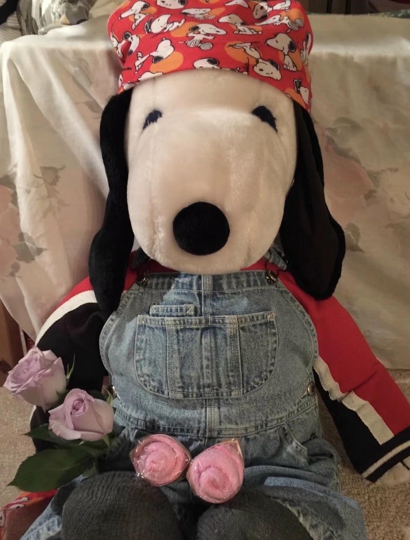 snoopy pfp funnycool snoopy pfp