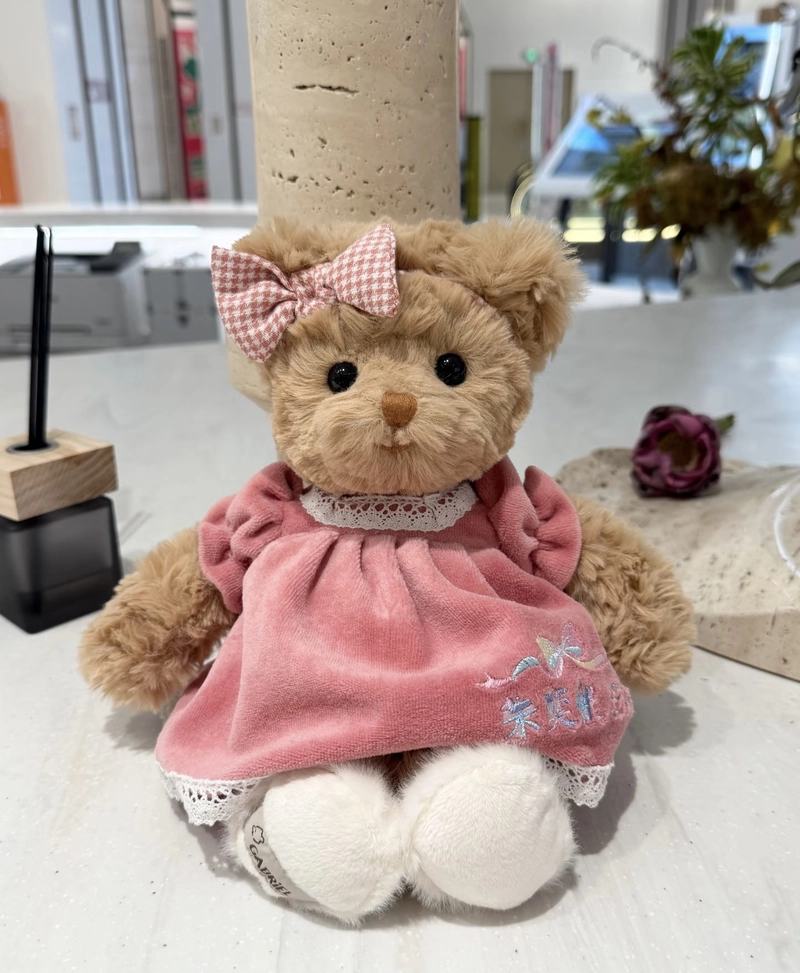 teddy bear girl dp