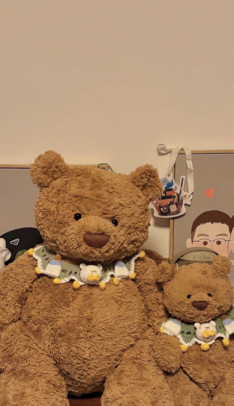 teddy bear pics
