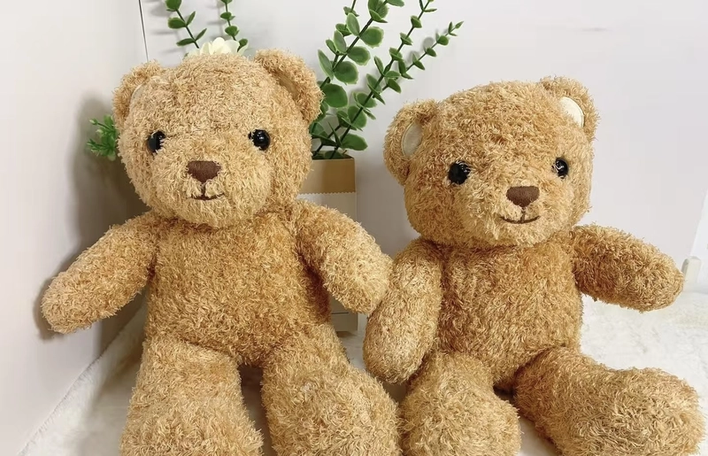 teddy photo download
