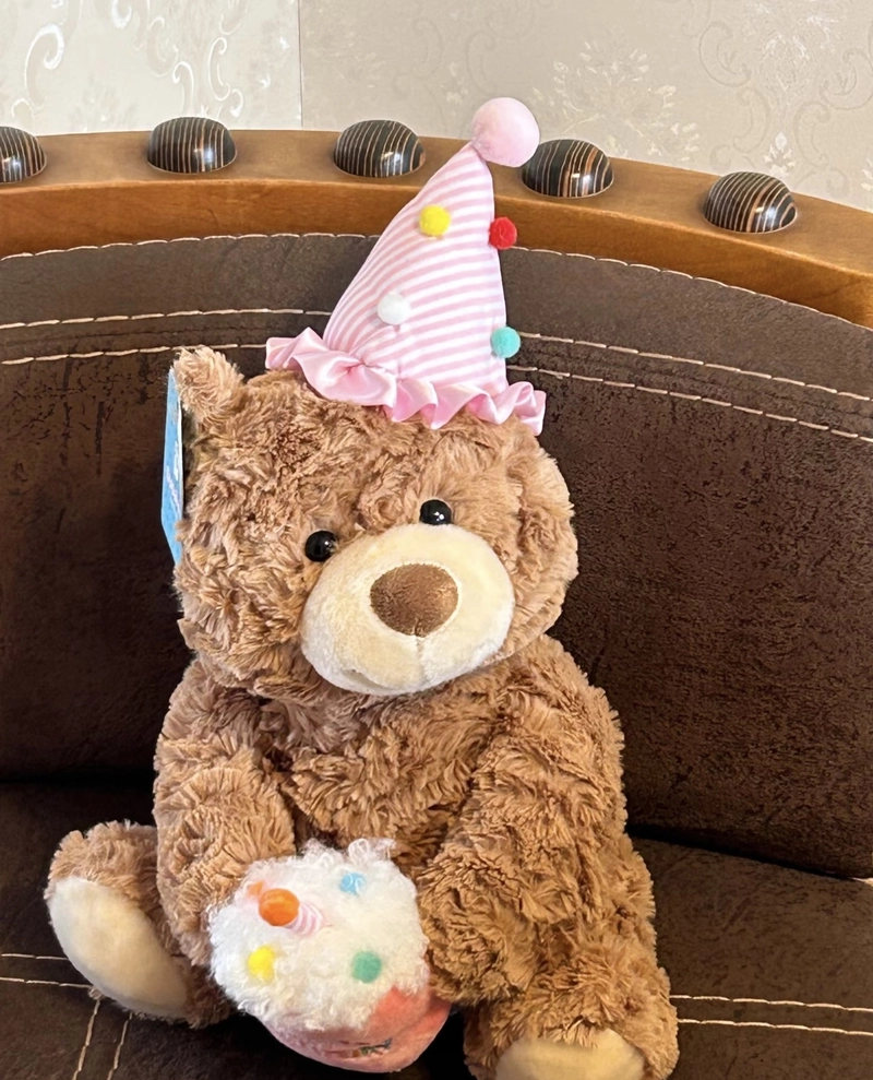 teddy photo