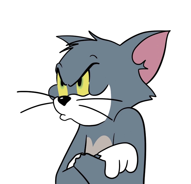 tom image for dp