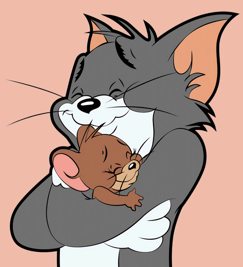 tom jerry dp new