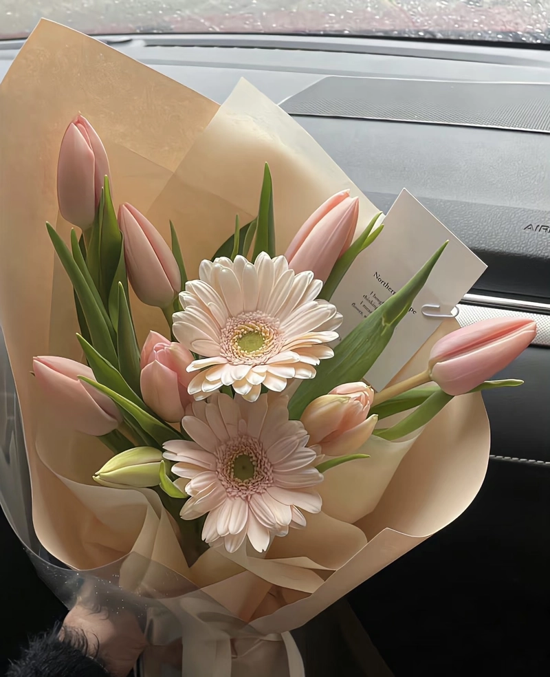 whatsapp dp beautiful flowers images hd