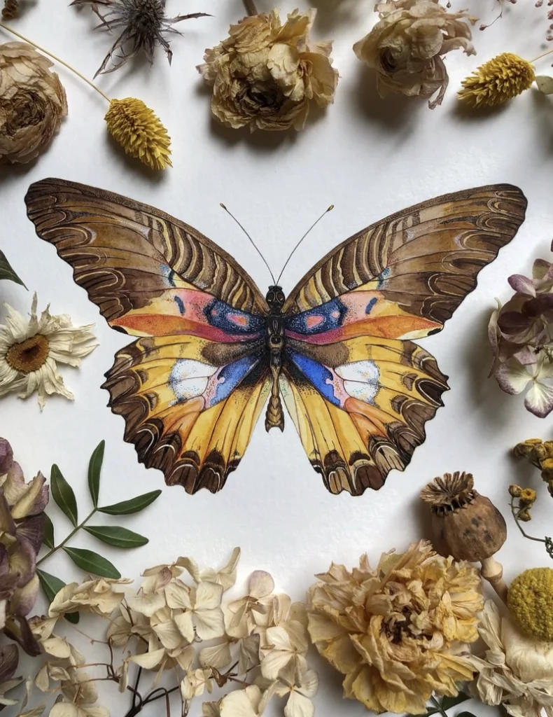 whatsapp dp flowers with butterfly