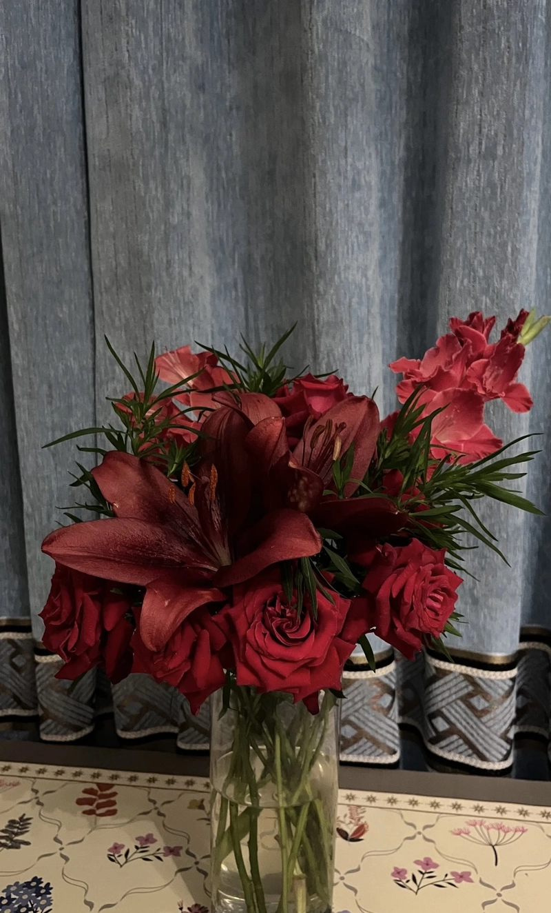 whatsapp red rose dp