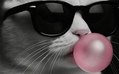 white cats and kittens for dp