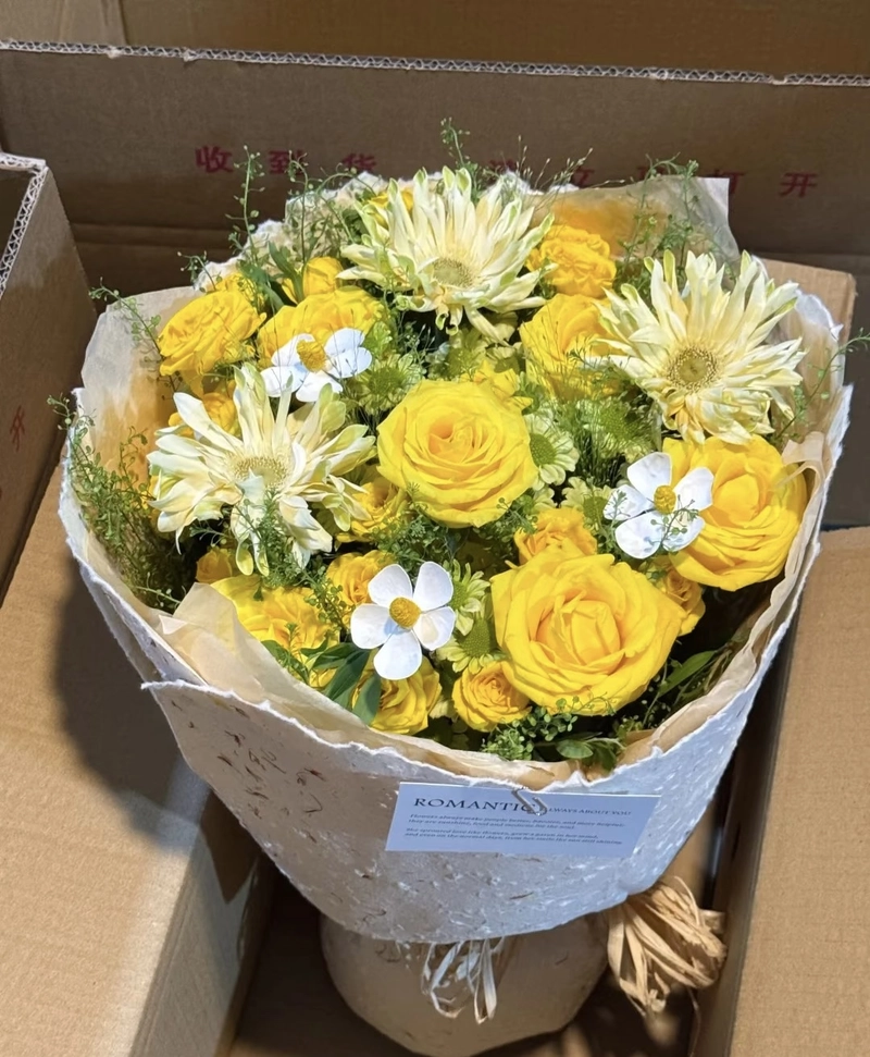 yellow colour whatsapp dp