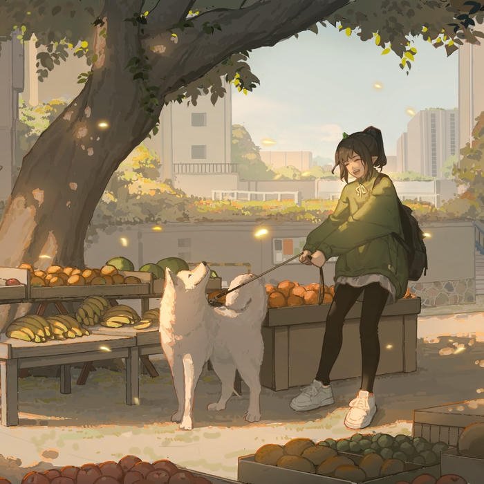 WhatsApp DP Beautiful hd photo