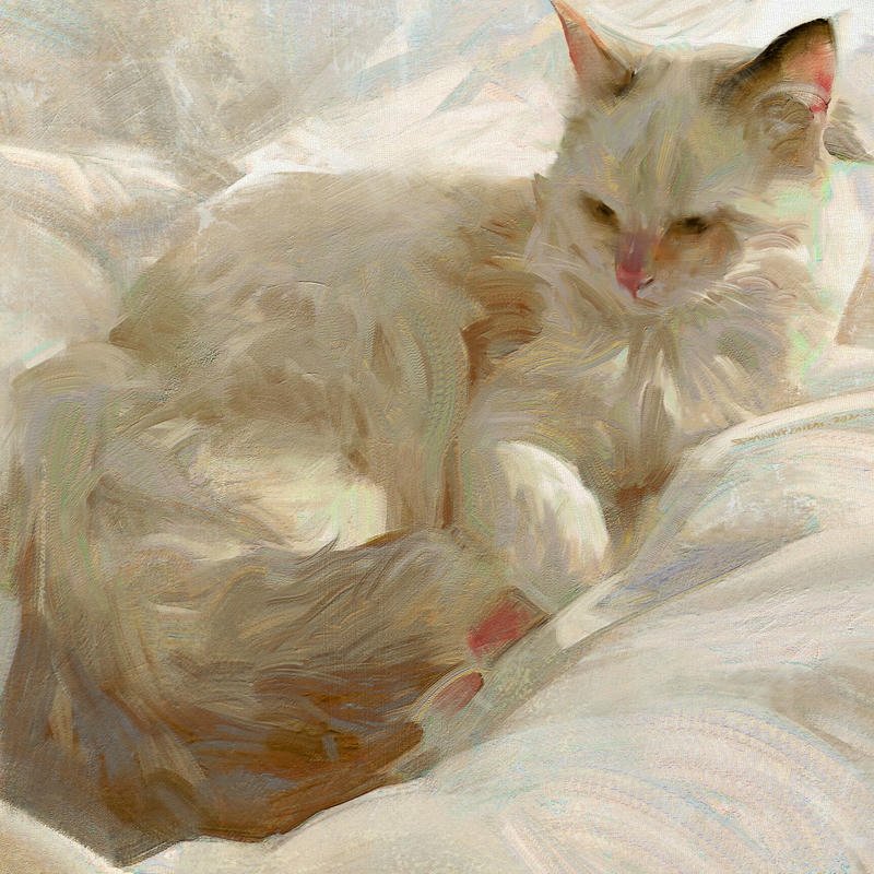 beautiful dp for whatsapp best portrait