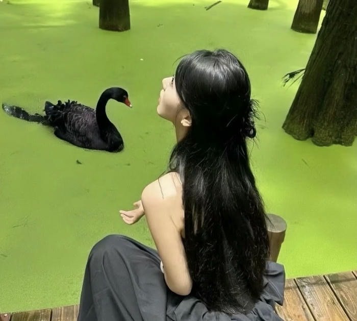 realistic photo girl dp