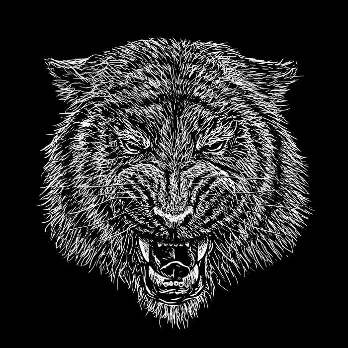 Black dp elegant minimal style profile photo concept