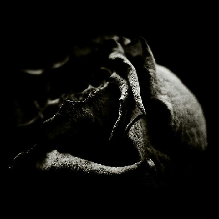 Black profile dp minimal dark theme photo