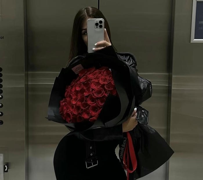 Image love rose hd flower splendid