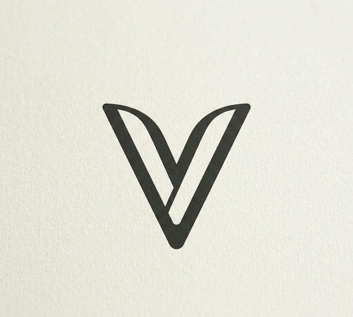 Stylish V Name DP Concepts for Aesthetic Lovers