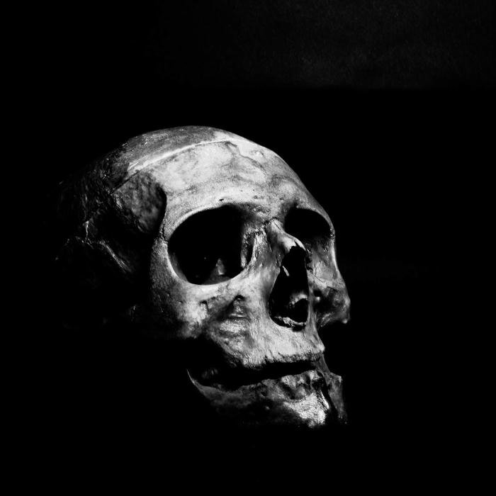 dp black sleek premium avatar for online profiles