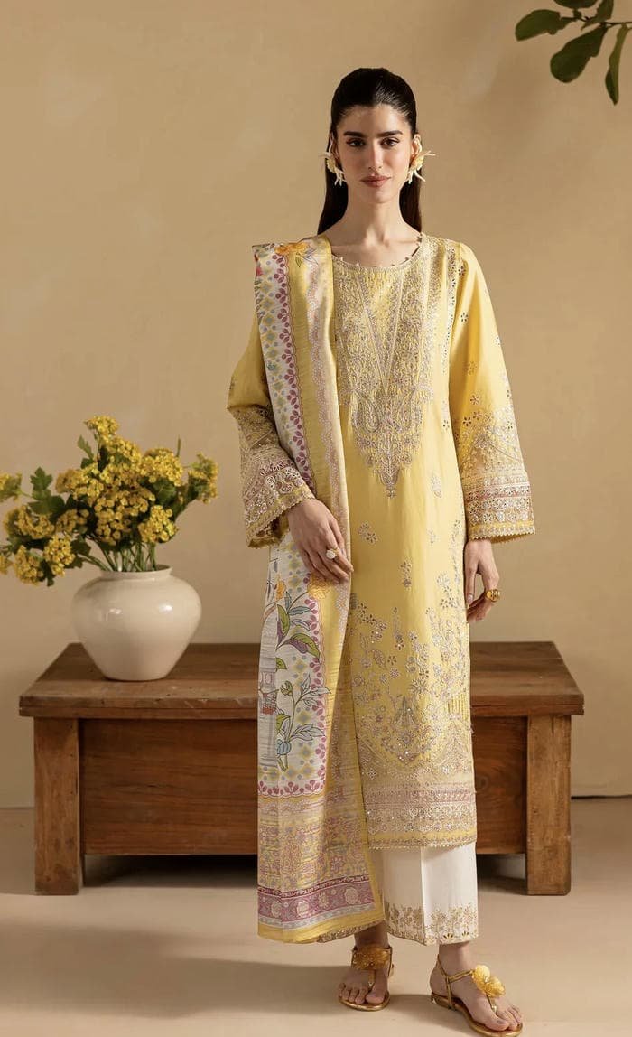 mountain vibe from kashmiri girls dp